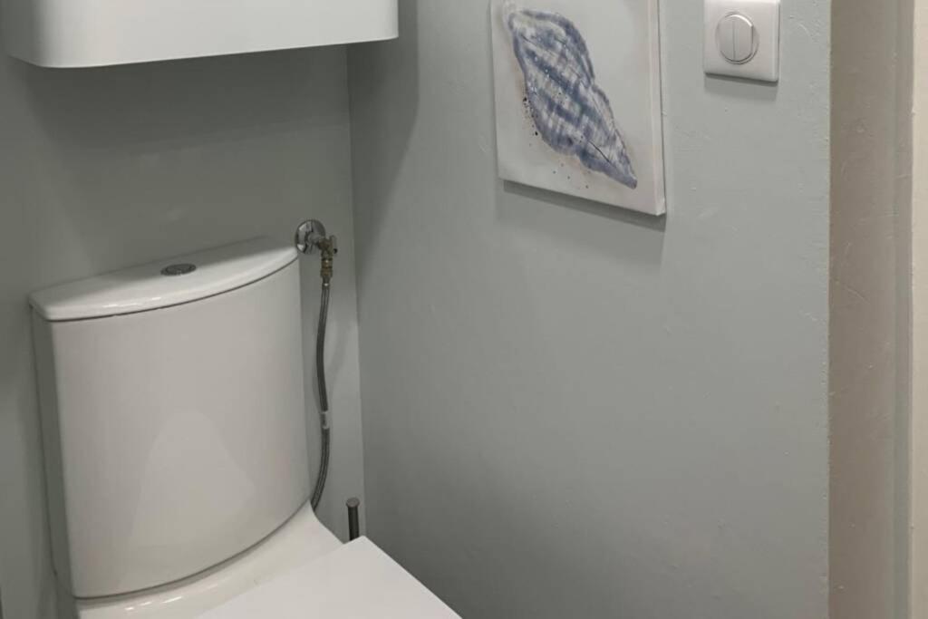 Joli Appartement Haut Standing En Hyper Centre Toulouse Eksteriør billede
